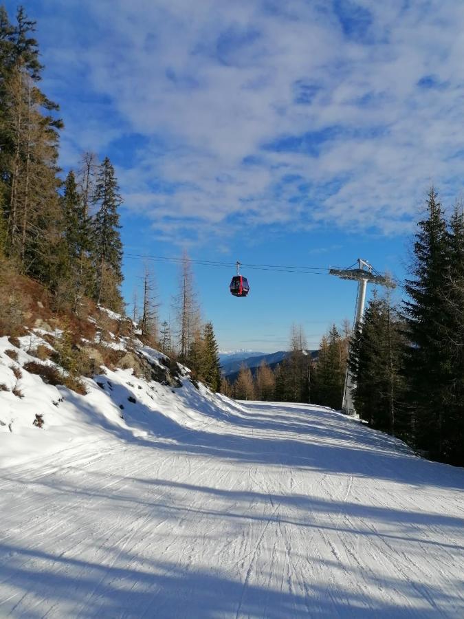Alpenglück * Aich (Styria)